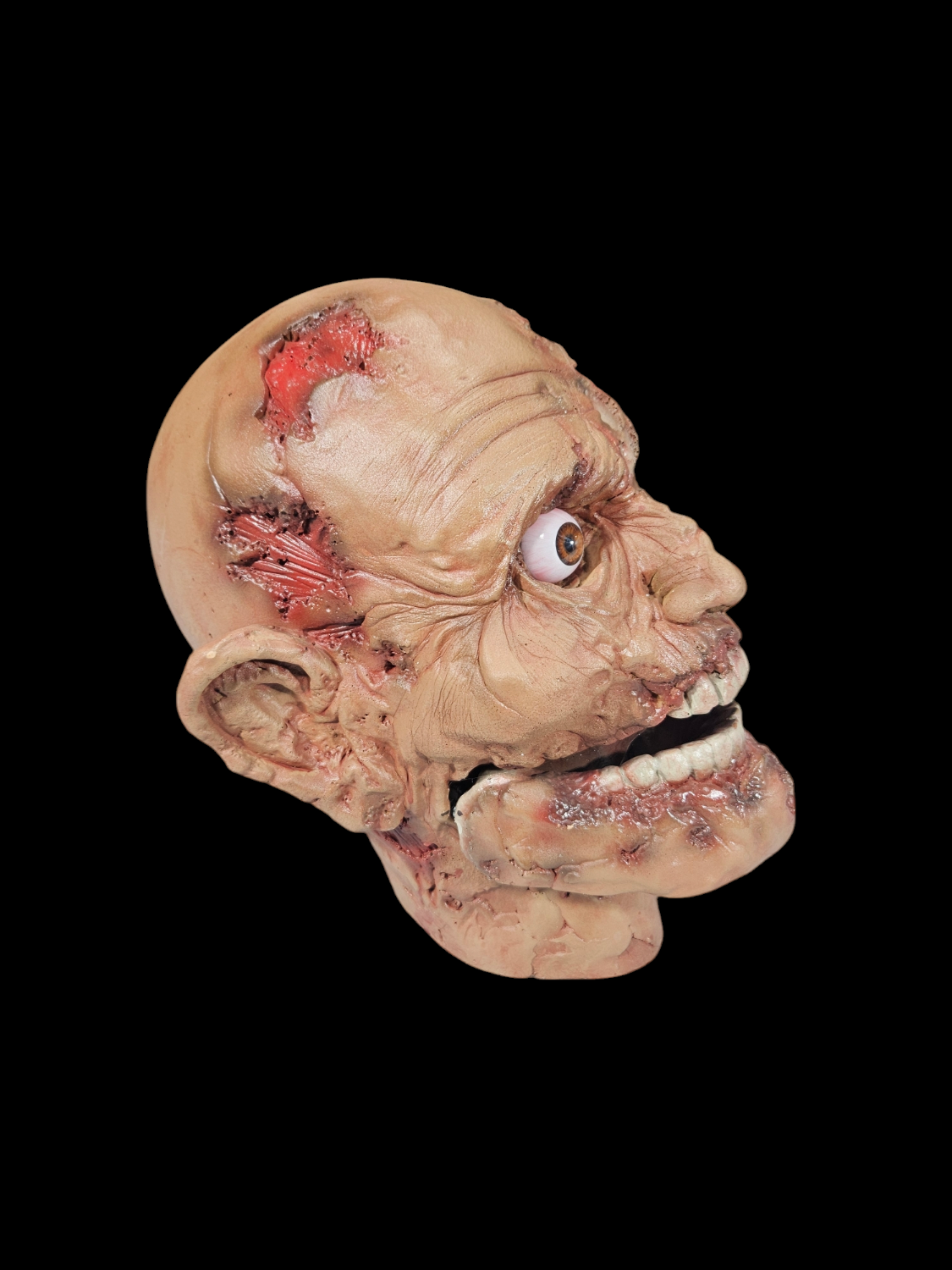 Zombie Head