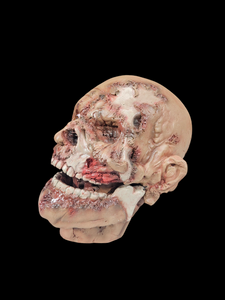 Zombie Head