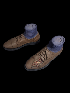 Wing Tip Shoes