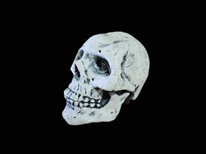 Deluxe Skull