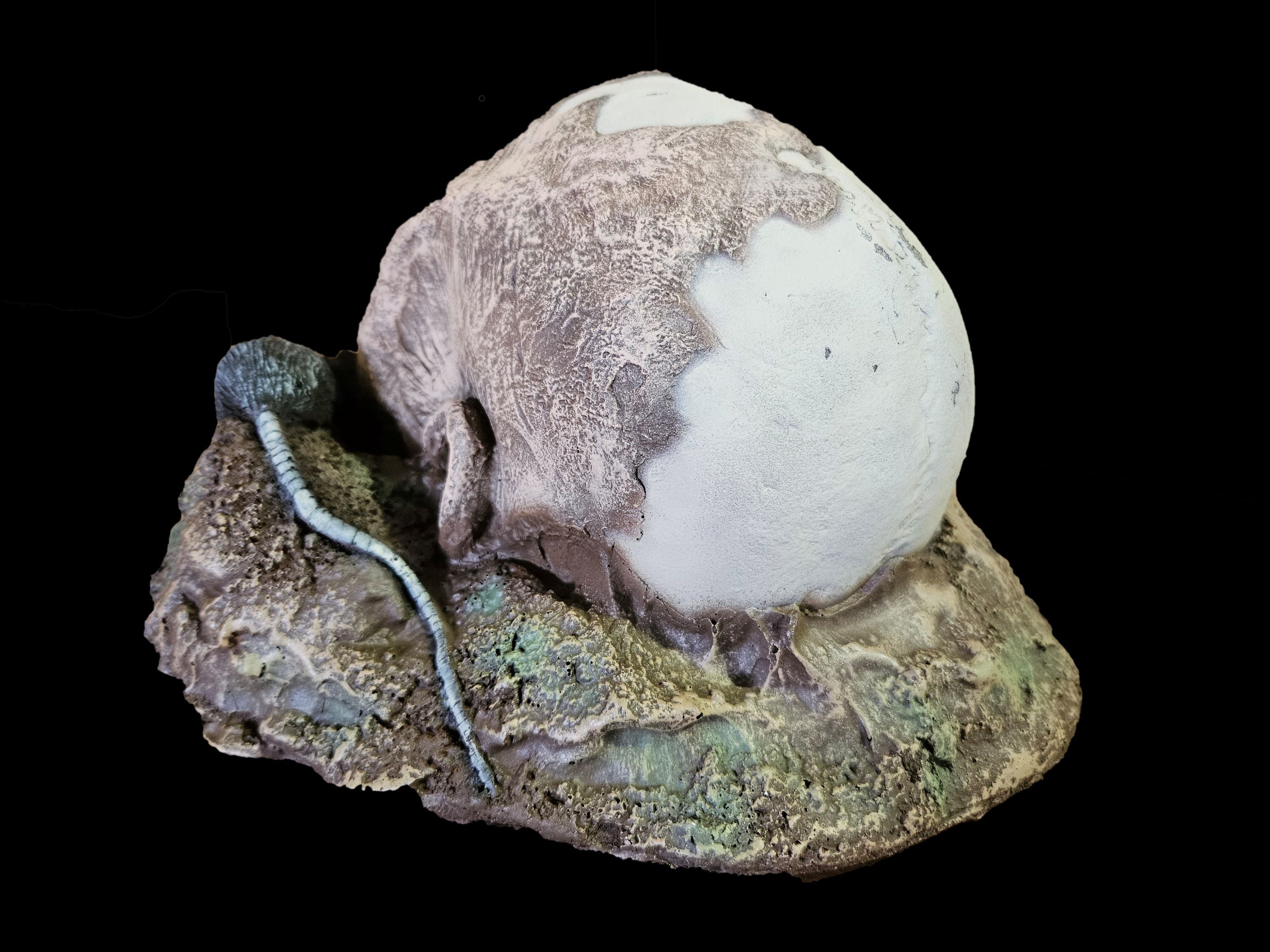 Rat Skull