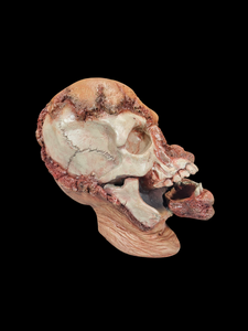 Morbid Head