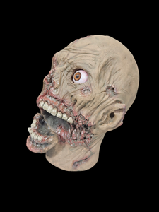 Zombie Head 2