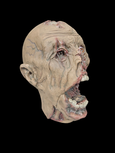 Zombie Head 2