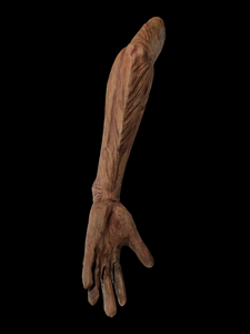 Arm Set