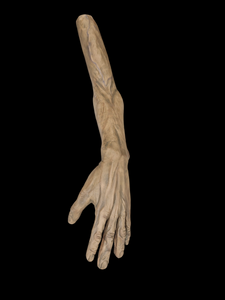 Arm Set 2