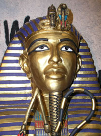 Pharaohs Coffin Front